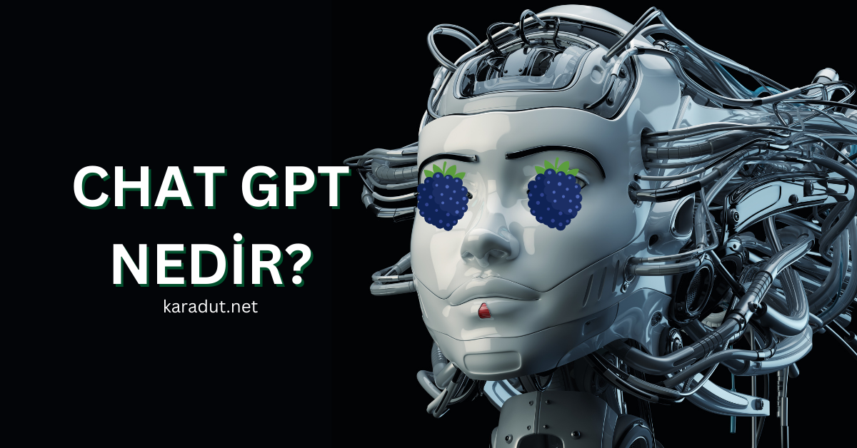 Chat GPT Nedir ve Nasıl Kullanılır?