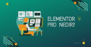 Elementor PRO Nedir