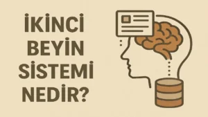 İkinci Beyin Sistemi Nedir