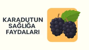 Karadutun Sağlığa Faydaları